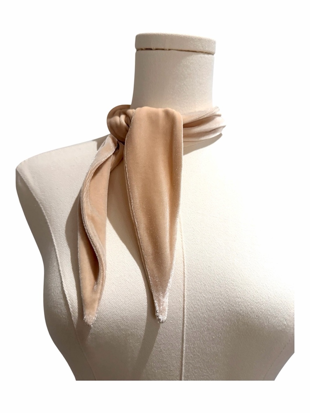 I’m With The Band Beige Velvet Neck Scarf